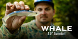 6th Sense Whale 6 inch