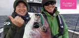Fish Arrow Flash J Squid 3.5 inch