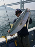 Fish Arrow Flash J Sabre 11 inch