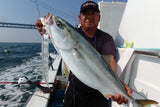 Fish Arrow Flash J Sabre 11 inch
