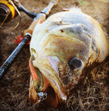 Fish Arrow Flash J Shad 3 inch