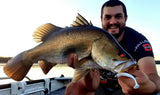 Damiki Anchovy Shad 4 inch
