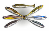 Fish Arrow Flash J Huddle 1 inch