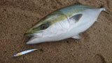 Damiki DJ Minnow 100mm