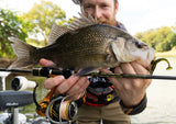 Damiki Tachi Shad 2.7 inch