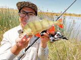 Damiki Tachi Shad 2.7 inch