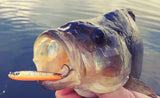 Pontoon 21 Paco Spoon 10.5 gram
