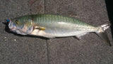 Damiki Tokon Vib 80