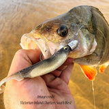 Magbite Snatchbite Shad 3 inch