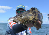 Marker 54 Jerk Prawn 4" 2 pack