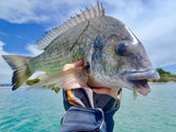 Fish Arrow Flash J Squid 3.5 inch
