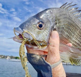 Fish Arrow Flash J Squid 3.5 inch
