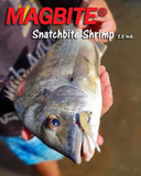 Magbite Snatchbite Shrimp 2.5 inch