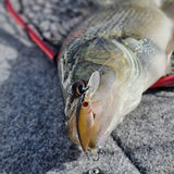 Pontoon 21 Greedy Guts 66mm MDR