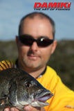 Damiki Armor Shad 3 inch