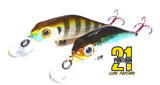 Pontoon 21 Crackjack 58mm DR