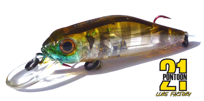 Pontoon 21 lures Australia