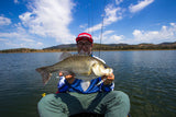 Damiki Back Drop Casting Jig 20 Gram
