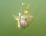 Fish Arrow Flash J Shad 4 inch