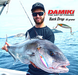 Damiki Back Drop Casting Jig 20 Gram