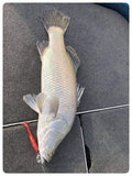 Fish Arrow Flash J Shad SW Series 4.5 inch