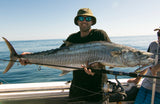 Damiki Grafin 160mm