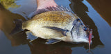 Magbite Snatchbite Shad 3 inch
