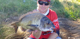 Magbite Snatchbite Shad 3 inch