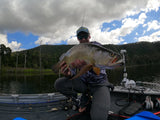 Damiki Stinger 3 inch